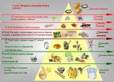 Fecoam fomenta los hábitos saludables con una pirámide nutricional