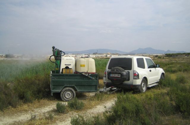 Lorquí se pone manos a la obra contra los molestos mosquitos - 3, Foto 3