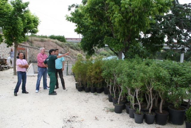 Viveros La Aparecida dona 283 plantas para repoblar zonas sin vegetación - 1, Foto 1