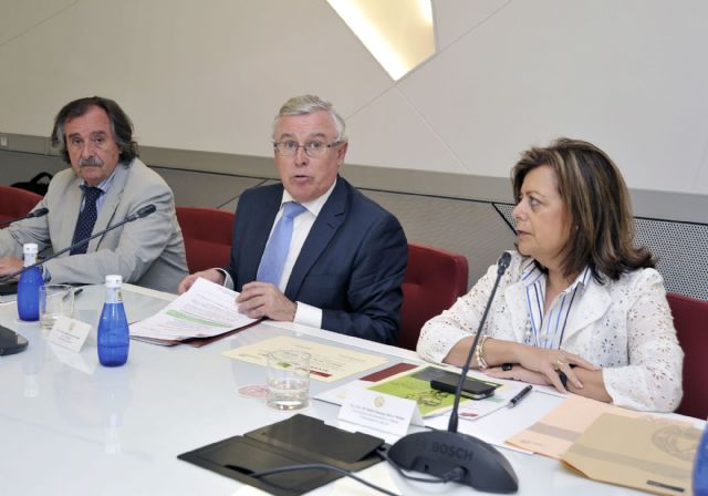 Una alumna de la Facultad de Comunicación gana el Premio Idea Responsable de la Universidad de Murcia - 1, Foto 1