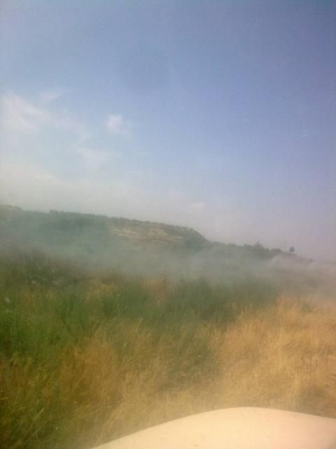 El ayuntamiento, con la colaboración de los vecinos de Raiguero y Lébor, lleva a cabo la desinfestación de la plaga de mosquitos - 2, Foto 2