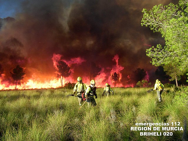 El Plan Infomur moviliza a más de 550 efectivos diarios para la prevención y extinción de incendios forestales - 1, Foto 1