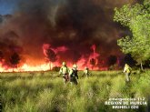 El Plan Infomur moviliza a más de 550 efectivos diarios para la prevención y extinción de incendios forestales