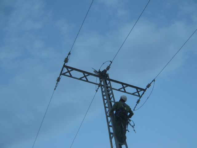 Culebrera electrocutada: una muerte anunciada y evitable - 1, Foto 1