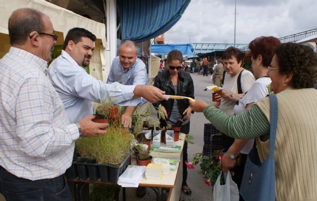 El Ayuntamiento de Puerto Lumbreras reparte más de 1.000 plantas con motivo del Día del Medio Ambiente - 1, Foto 1