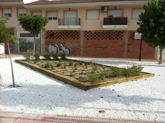 La calle Amparo Barrio de Las Torres de Cotillas luce un renovado jardín - 3, Foto 3