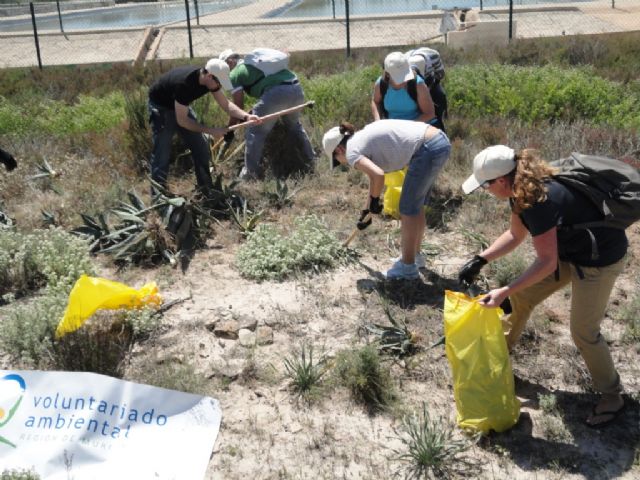 Voluntarios de SABIC colaboran  en la limpieza y preservación del Parque Regional de las Salinas de San Pedro - 1, Foto 1