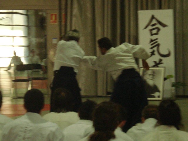El Club de Aikido de Totana participó en un curso a beneficio de Japón en el que se recaudaron 8.560 euros, Foto 4