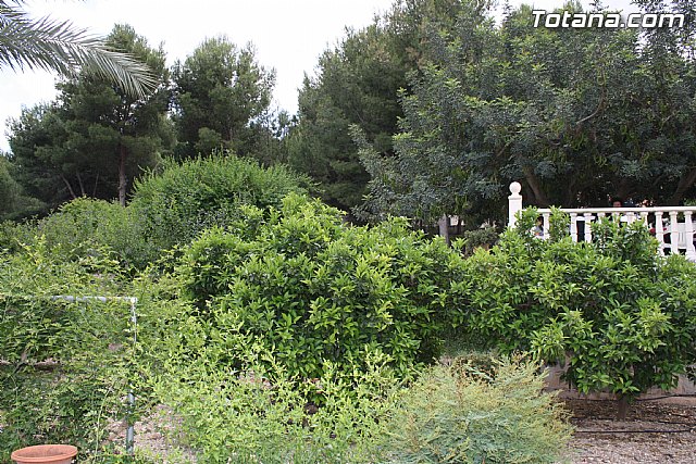 Arrancan las fiestas de las personas mayores con una convivencia en la sierra - 2