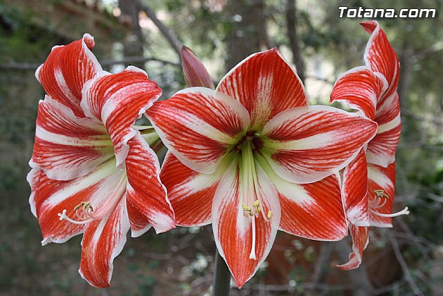 Arrancan las fiestas de las personas mayores con una convivencia en la sierra - 22