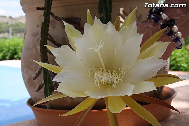 Arrancan las fiestas de las personas mayores con una convivencia en la sierra - 23