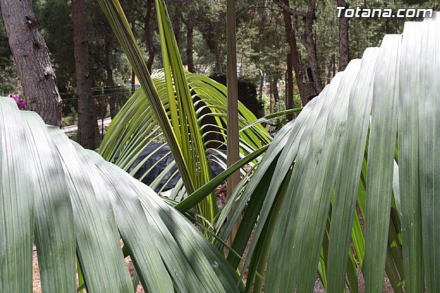 Arrancan las fiestas de las personas mayores con una convivencia en la sierra - 24