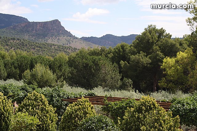 El Club Baloncesto Murcia realizar su stage de pretemporada en Totana del 28 de agosto al 4 de septiembre - 9