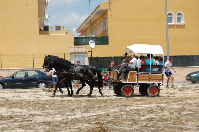 Cientos de alguaceños homenajean a San Antonio participando en la tercera romería - 2, Foto 2
