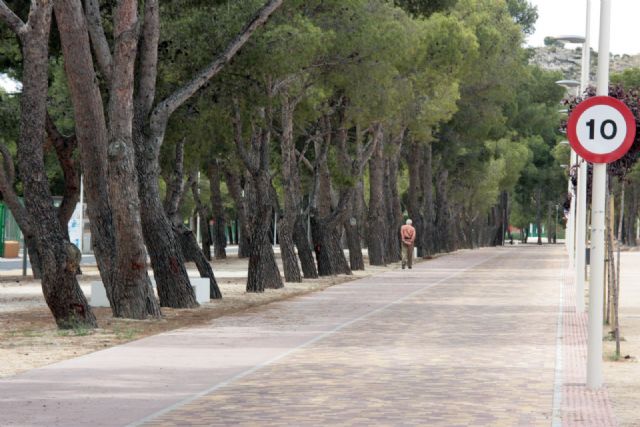 El autobús que llegará los sábados al Cementerio será gratuito este mes - 2, Foto 2