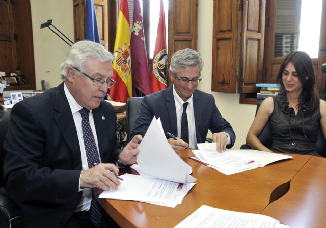 La Universidad de Murcia realizará terapias con caballos en personas con discapacidad - 2, Foto 2