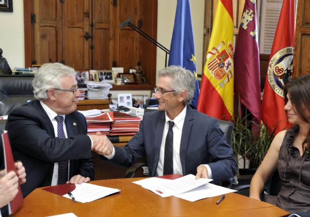 La Universidad de Murcia realizará terapias con caballos en personas con discapacidad - 3, Foto 3