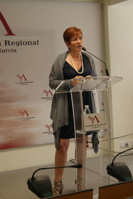 Retegui considera que el discurso de Valcárcel carece de compromisos en el peor momento para la Región - 1, Foto 1