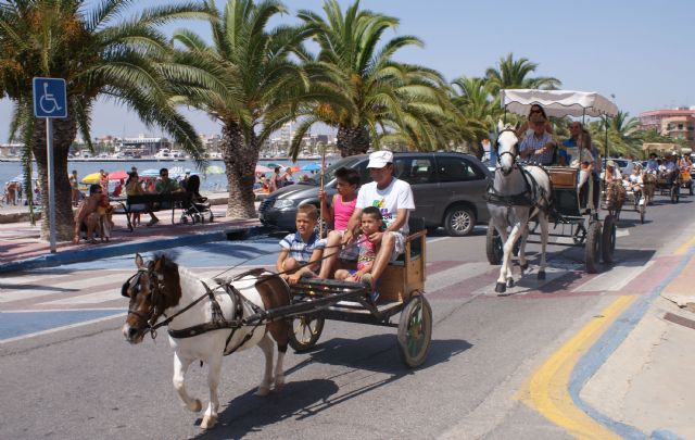 Una veintena de carruajes desfilan junto al mar en el VIII Encuentro de Carruajes Villa de San Pedro - 2, Foto 2
