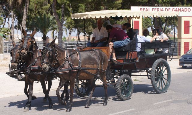 Una veintena de carruajes desfilan junto al mar en el VIII Encuentro de Carruajes Villa de San Pedro - 3, Foto 3