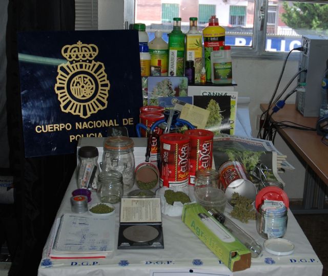 La Policía Nacional desmantela un centro de cultivo, procesamiento y distribución de marihuana y hachís en Molina de Segura - 1, Foto 1