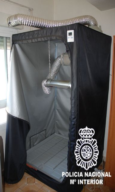 La Policía Nacional desmantela un centro de cultivo, procesamiento y distribución de marihuana y hachís en Molina de Segura - 2, Foto 2