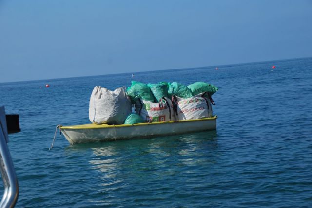 Continúan las labores de limpieza en las calas de la zona oeste - 5, Foto 5