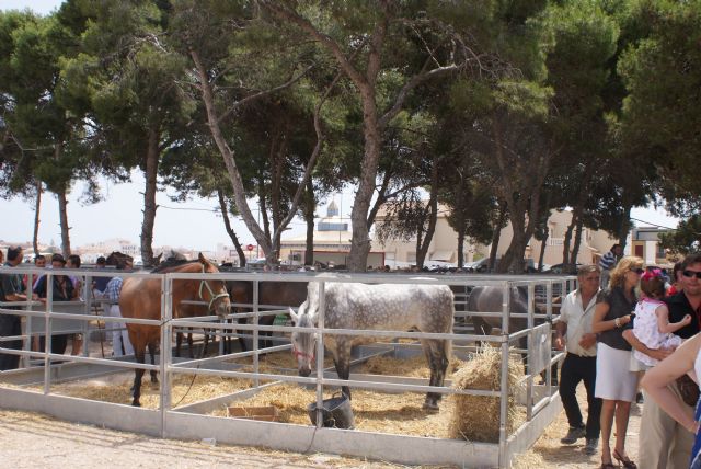 Abre sus puertas la CCXV edición de la feria del Ganado de San Pedro del Pinatar - 3, Foto 3