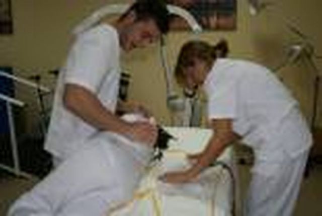 Las alumnas del curso de Atención Sociosanitaria de la ADLE reciben sus diplomas - 1, Foto 1