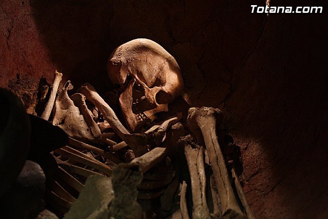 Totana se adentra en la cultura argárica a través de la jornada de puertas abiertas que se ha realizado en el Yacimiento de La Bastida - 1, Foto 1