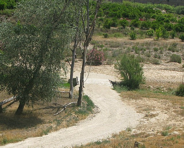 La Comunidad acondiciona la Ruta del Agua en su ramal Pliego-Mula - 1, Foto 1