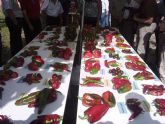 Jornada de Exposición de Variedades Tradicionales de pimiento de la Región de Murcia