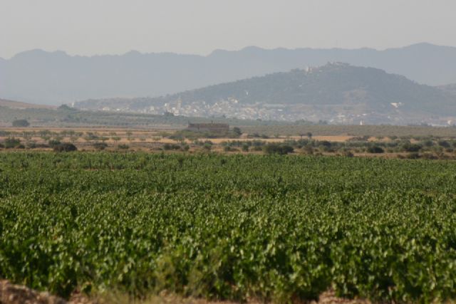 El empleo en Yecla pasa por el turismo enológico, el mueble de calidad y la formación, según el SEF - 3, Foto 3