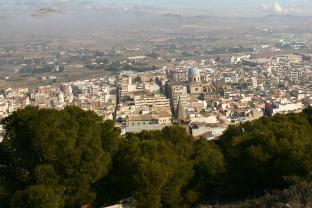 El Ayuntamiento recuerda que este es el mejor momento para combatir a la procesionaria del pino - 1, Foto 1