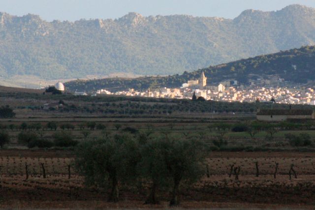 El Ayuntamiento recuerda que este es el mejor momento para combatir a la procesionaria del pino - 2, Foto 2