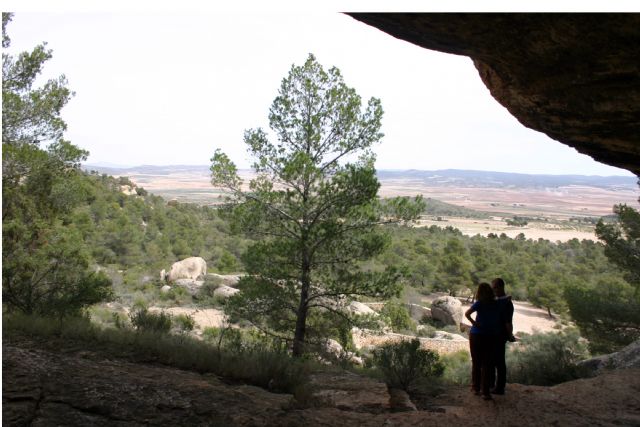 El Ayuntamiento recuerda que este es el mejor momento para combatir a la procesionaria del pino - 3, Foto 3