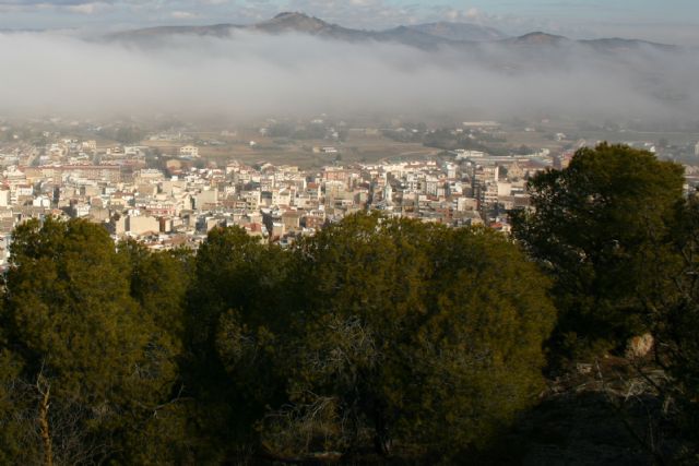 El Ayuntamiento recuerda que este es el mejor momento para combatir a la procesionaria del pino - 4, Foto 4