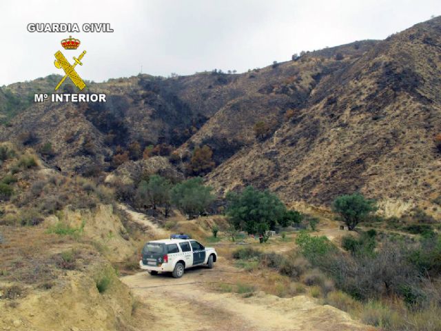 La Guardia Civil detiene al presunto autor del incendio de la sierra la Cresta del Gallo de Murcia - 1, Foto 1
