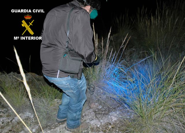 La Guardia Civil detiene al presunto autor de la violación a una mujer en Jumilla - 1, Foto 1