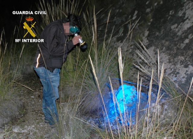 La Guardia Civil detiene al presunto autor de la violación a una mujer en Jumilla - 4, Foto 4