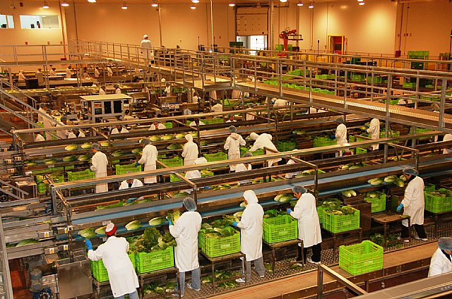 Agricultura informa a las empresas hortícolas sobre el programa de muestreo para la exportación a Rusia - 1, Foto 1