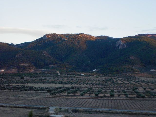 El catálogo arqueológico de Yecla se amplía con cuatro nuevos yacimientos - 1, Foto 1
