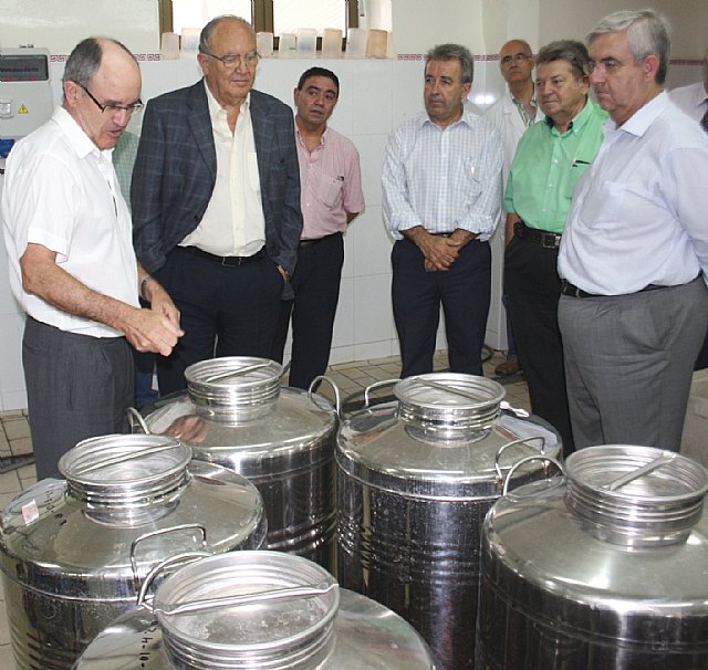 Agricultura trabaja en varios proyectos de investigación para la mejora de la calidad de uvas y vinos de la Región de Murcia - 1, Foto 1