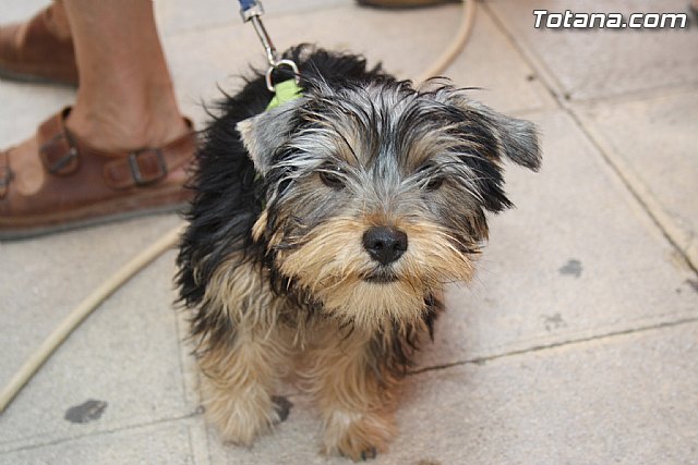 Los ms pequeños conocen de cerca el trabajo del alfarero gracias a las actividades que han integrado el programa de las 