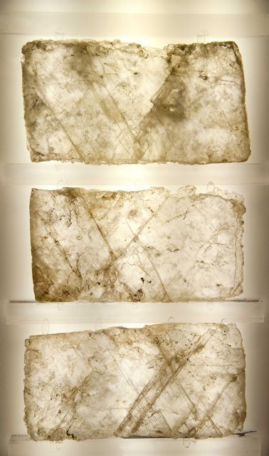 El Museo Arqueológico Municipal descubre la ciudad reencontrada en el Molinete - 1, Foto 1