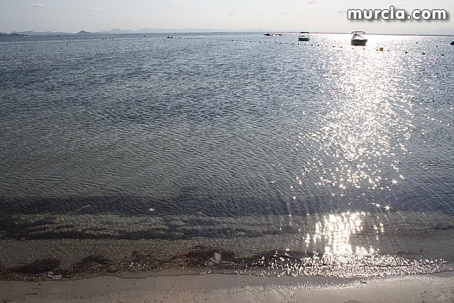 La Consejera de Agricultura y Agua pone en marcha el dispositivo de extraccin de medusas en el Mar Menor - 1