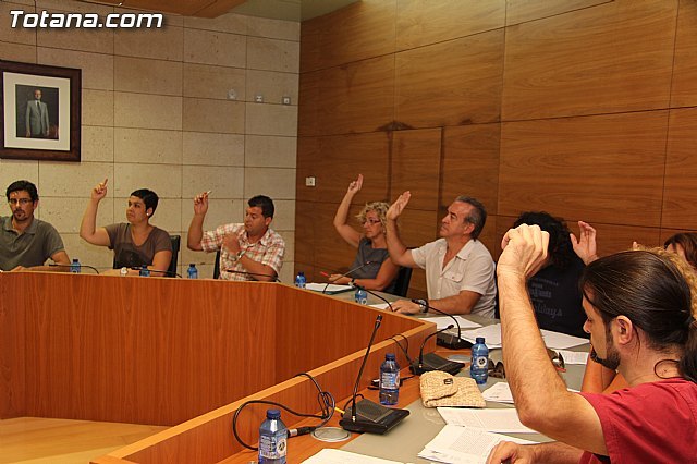 El Pleno aprueba la moción conjunta para realizar un estudio económico financiero - 1, Foto 1