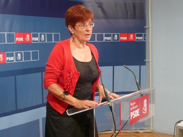 García Retegui: Para que el turismo sea estratégico en la salida de la crisis, el Gobierno regional debe estar a la altura - 1, Foto 1