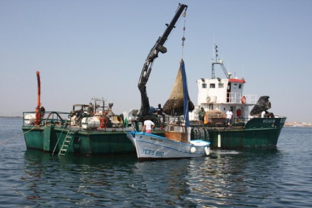 El operativo de pesca en el Mar Menor recoge desde el pasado viernes más de 150 toneladas de medusas - 3, Foto 3