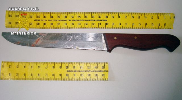 La Guardia Civil ha detenido, en Jumilla, al presunto autor de un homicidio en tentativa - 1, Foto 1